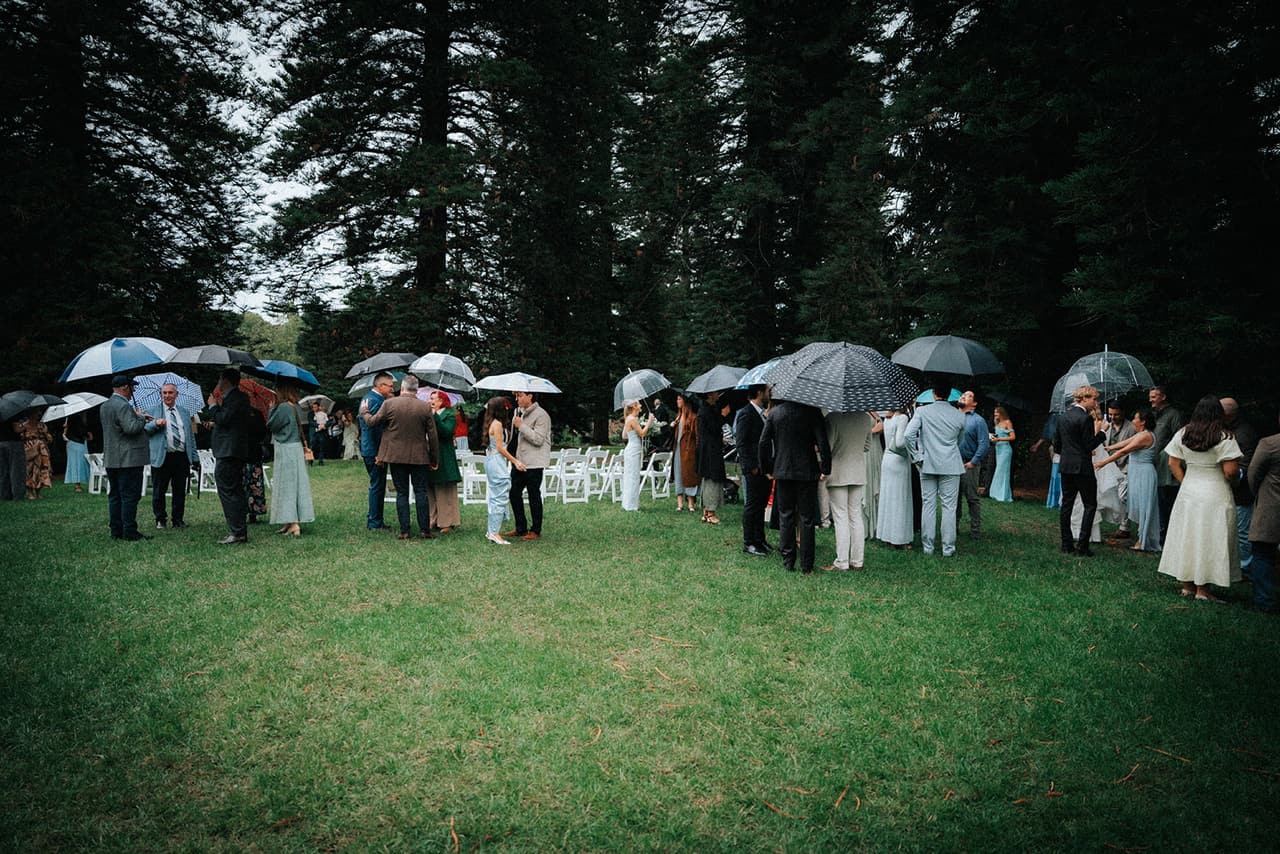 Guests mingling under umbrellas on the lawn after the ceremony, the white chairs and pines behind them
