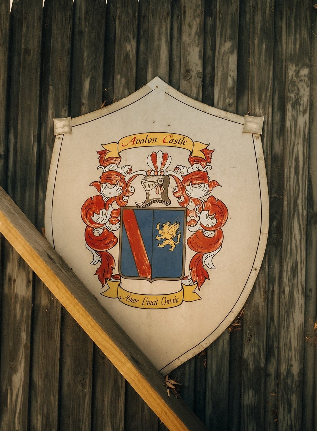 A painted Avalon Castle coat of arms on a dark timber wall