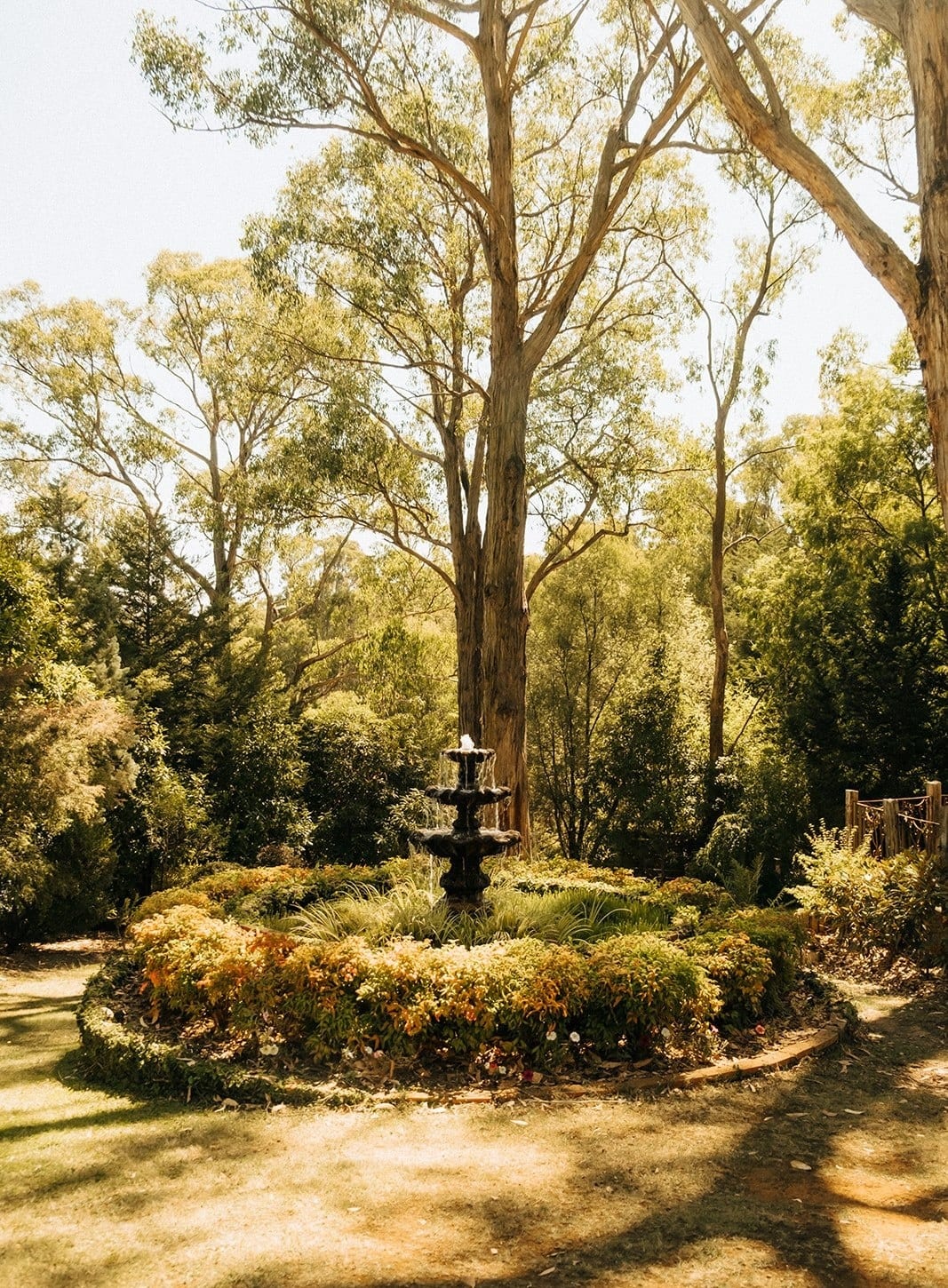 A stone fountain in a round garden bed among tall gums in the castle grounds