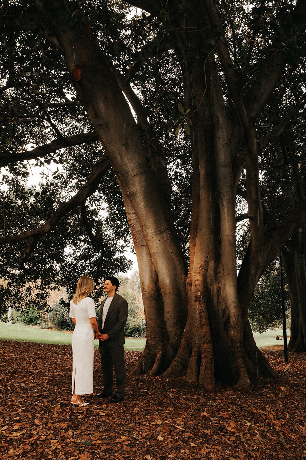 Karina and Chris standing under the spreading branches of a huge fig tree in Treasury Gardens, fallen leaves at their feet